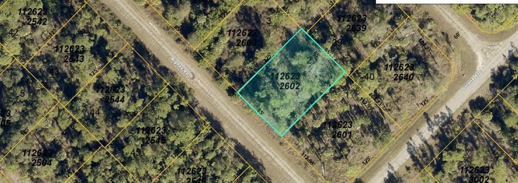 待售: $29,000 (0.24 acres)