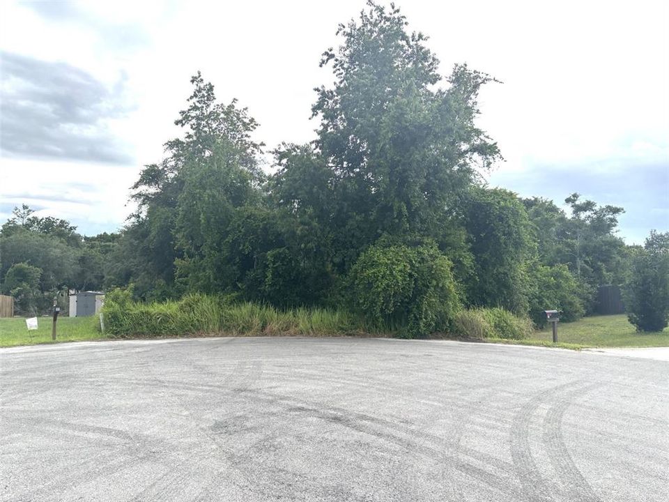 Active With Contract: $33,000 (0.34 acres)