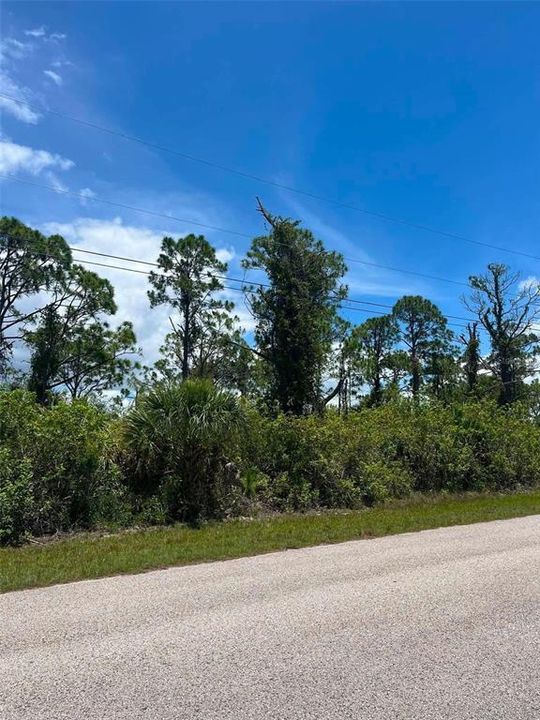 待售: $39,900 (0.25 acres)