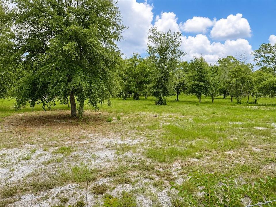 For Sale: $75,000 (1.25 acres)