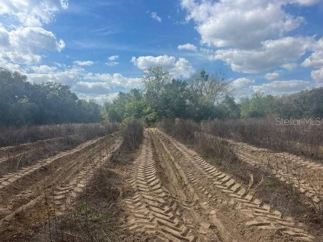 For Sale: $897,500 (17.23 acres)
