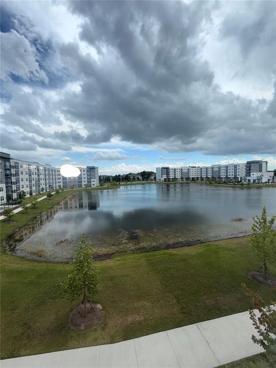 В аренду: $2,350 (2 спален, 2 ванн, 1023 Квадратных фут)