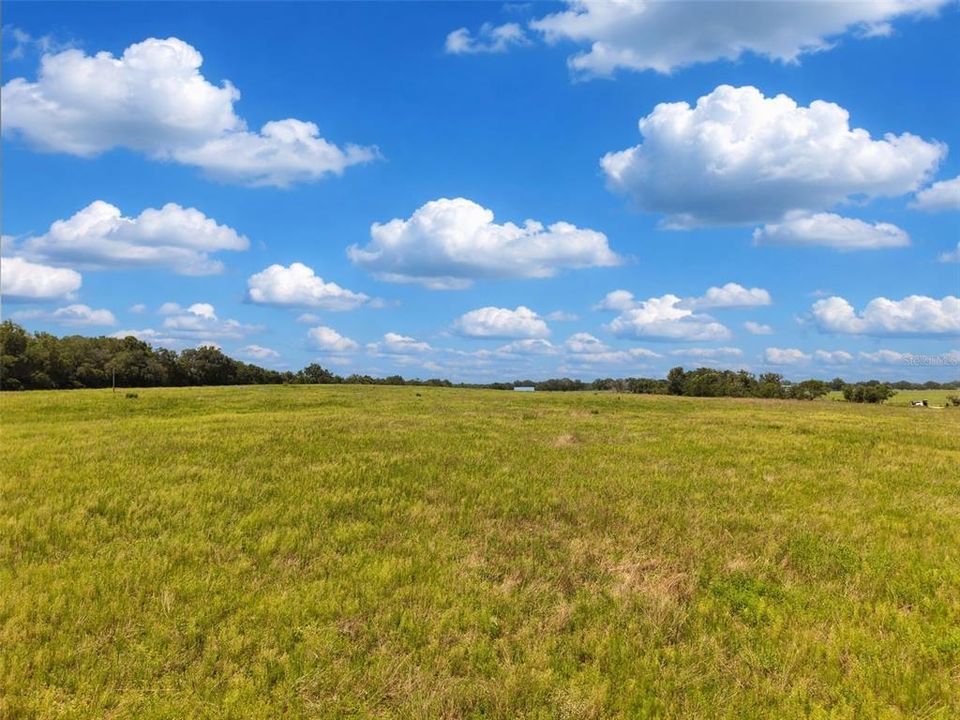 For Sale: $788,000 (40.00 acres)