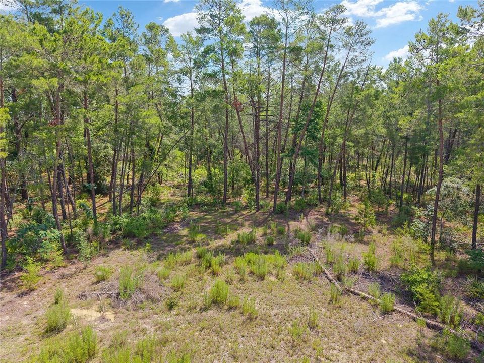 En Venta: $375,000 (5.00 acres)
