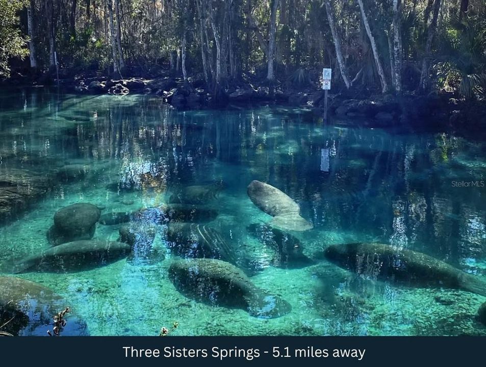 For Sale: $1,080,000 (36.05 acres)
