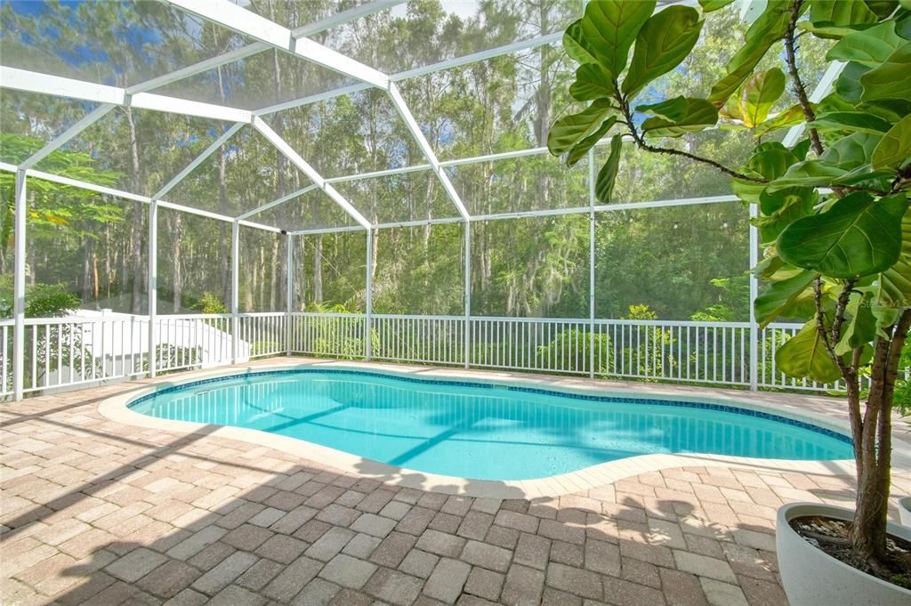 For Sale: $625,000 (4 beds, 2 baths, 1845 Square Feet)