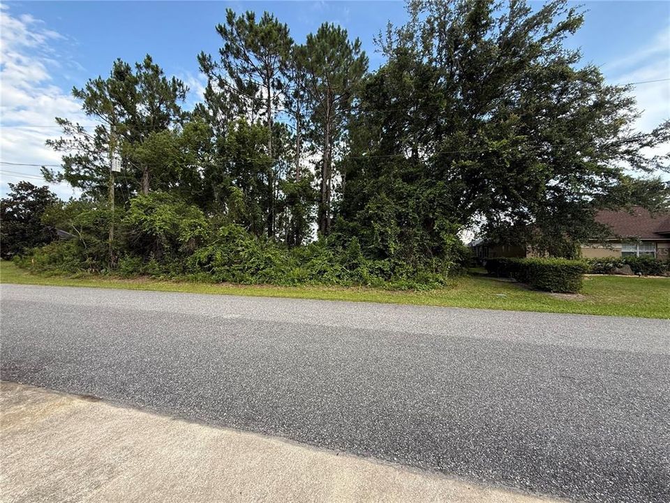 For Sale: $95,000 (0.25 acres)