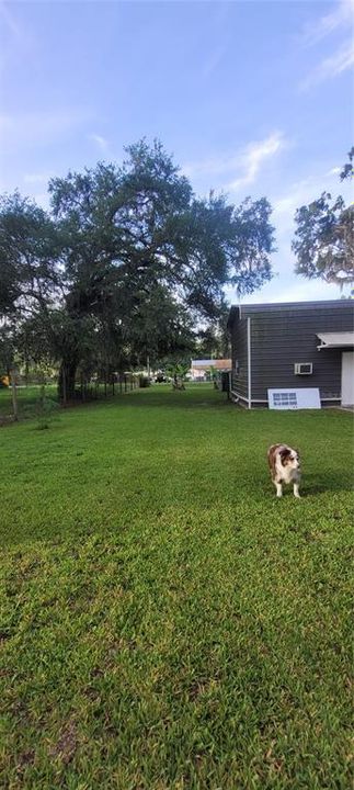 For Sale: $349,900 (3 beds, 2 baths, 1278 Square Feet)
