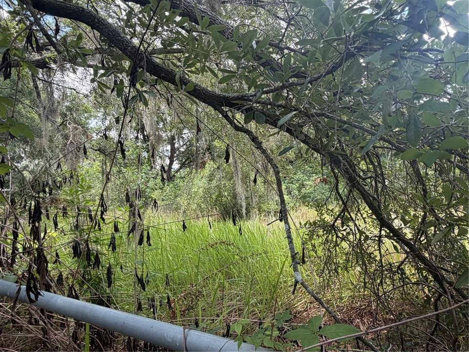 На продажу: $199,900 (1.26 acres)