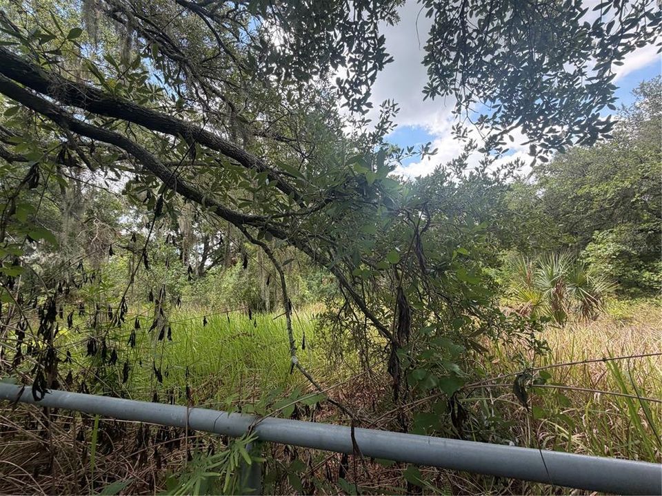 На продажу: $199,900 (1.26 acres)