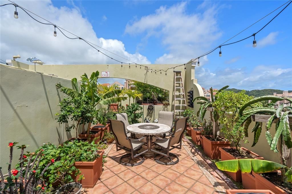 For Sale: $345,000 (3 beds, 2 baths, 1423 Square Feet)
