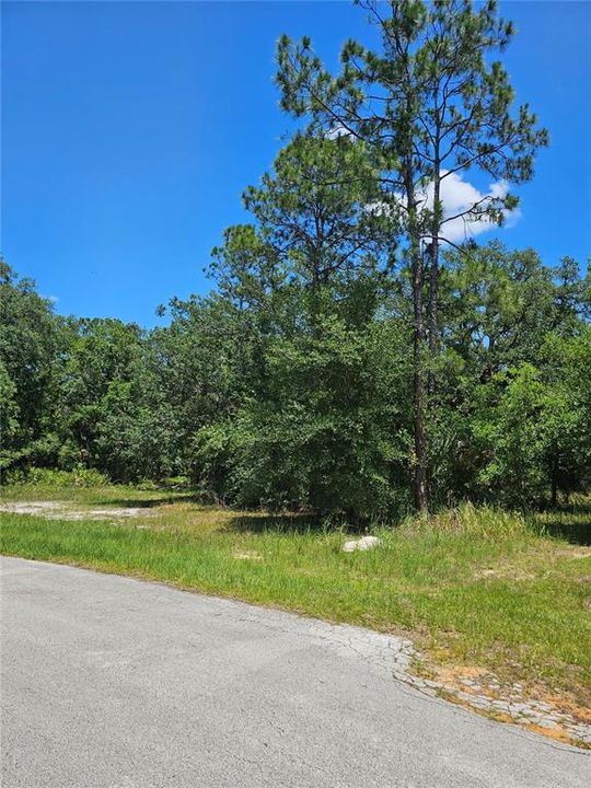 For Sale: $28,000 (0.44 acres)