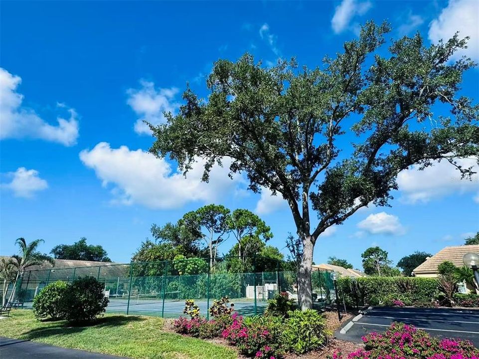 For Rent: $2,100 (2 beds, 2 baths, 1454 Square Feet)