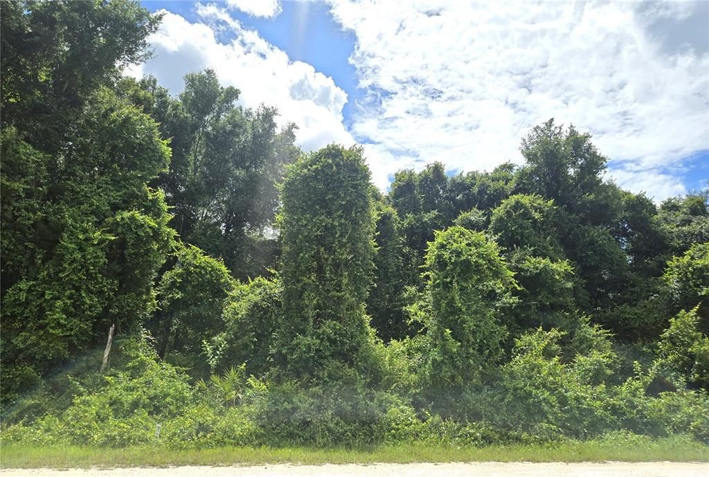 For Sale: $39,900 (1.20 acres)