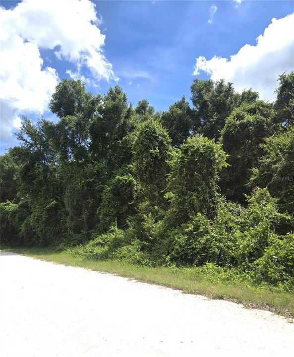 For Sale: $39,900 (1.20 acres)