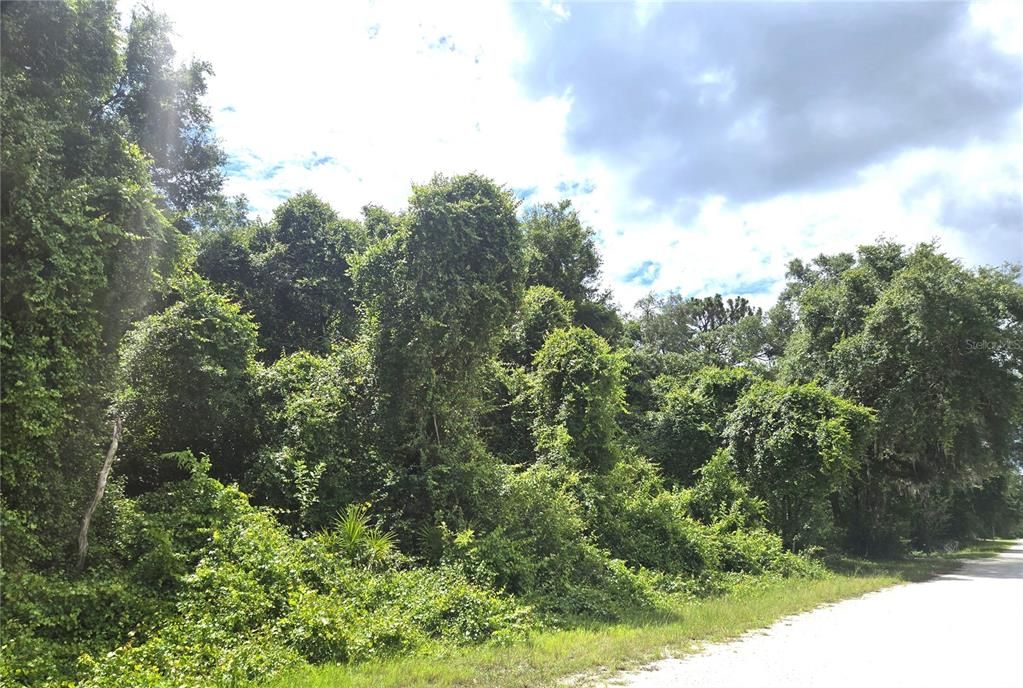 For Sale: $39,900 (1.20 acres)