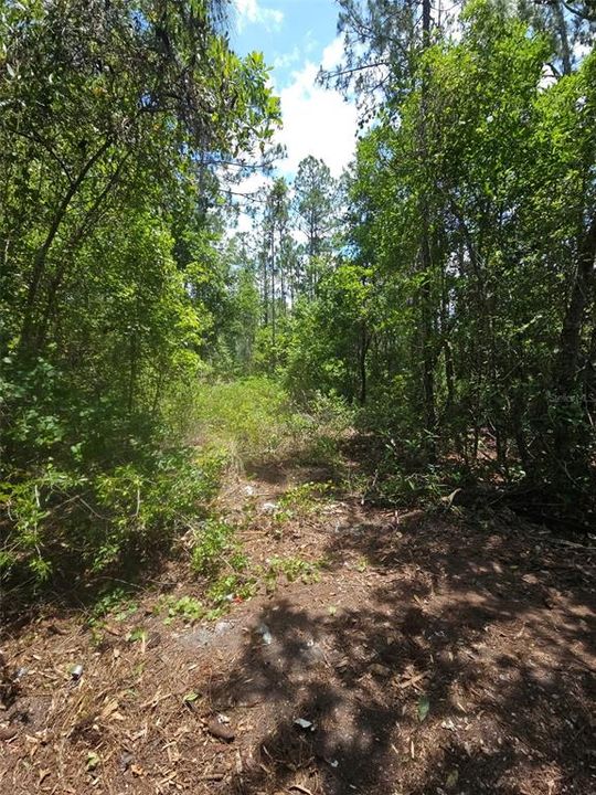 En Venta: $40,000 (1.14 acres)