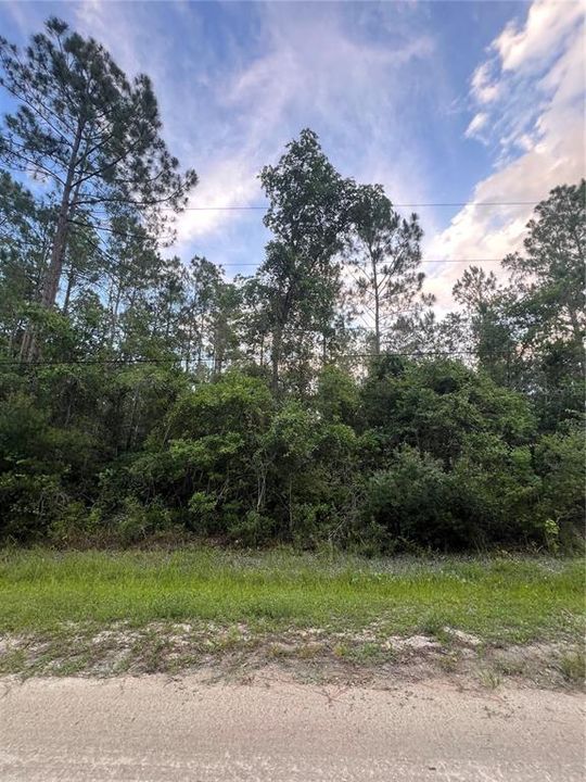 En Venta: $40,000 (1.14 acres)