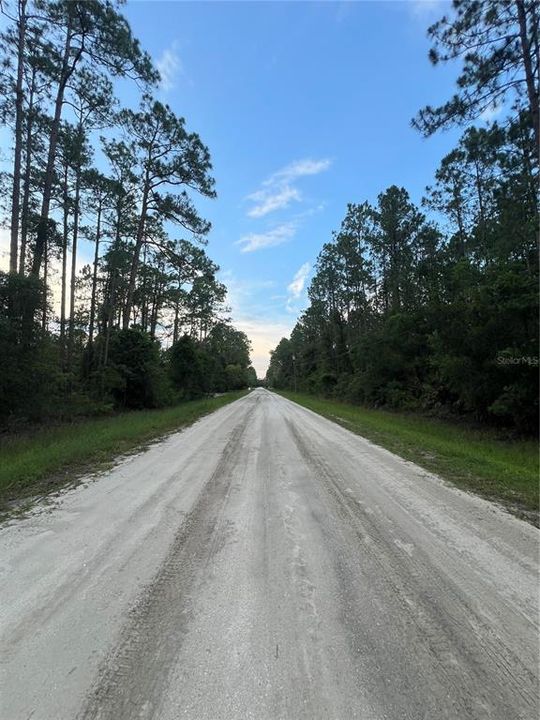 En Venta: $40,000 (1.14 acres)