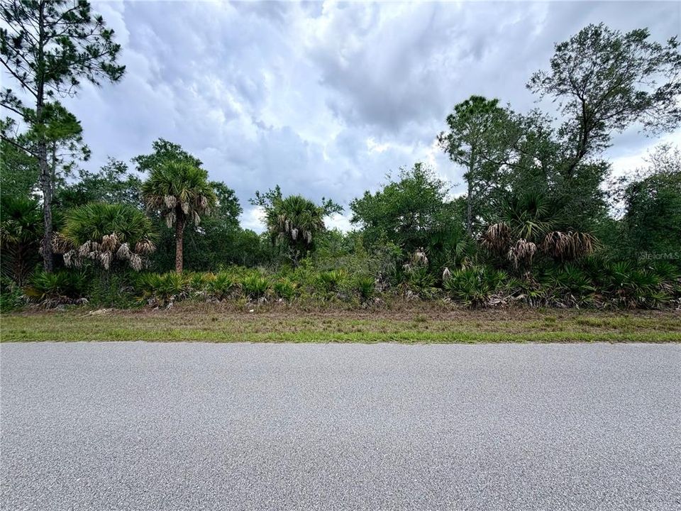 For Sale: $20,000 (0.23 acres)