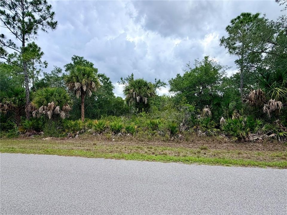 For Sale: $20,000 (0.23 acres)
