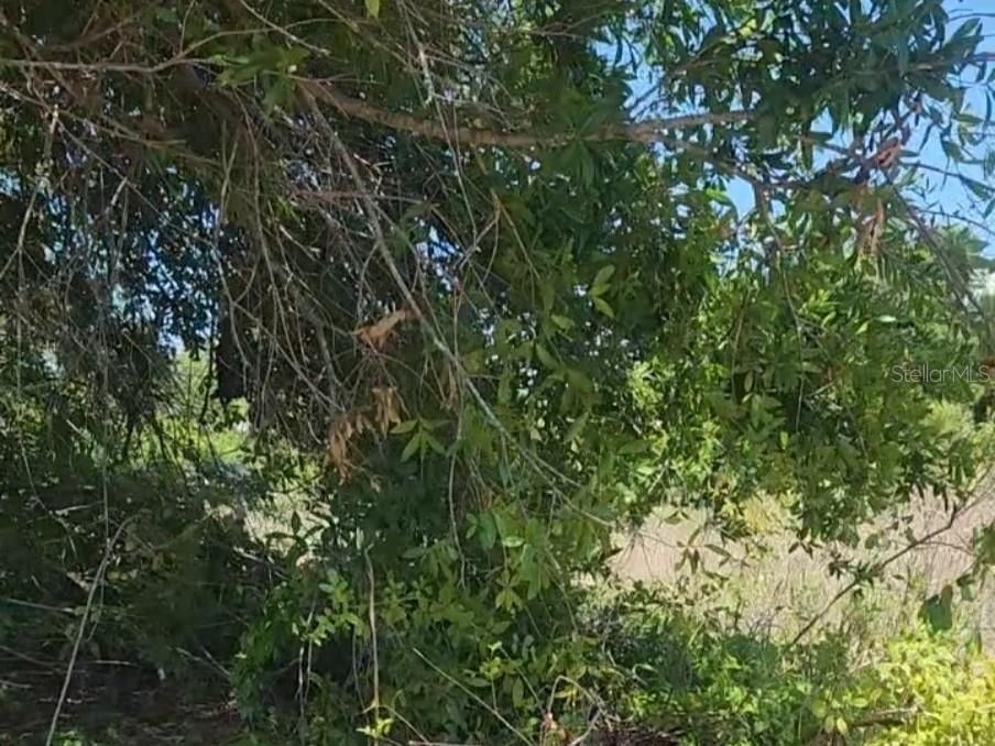 待售: $46,500 (0.23 acres)