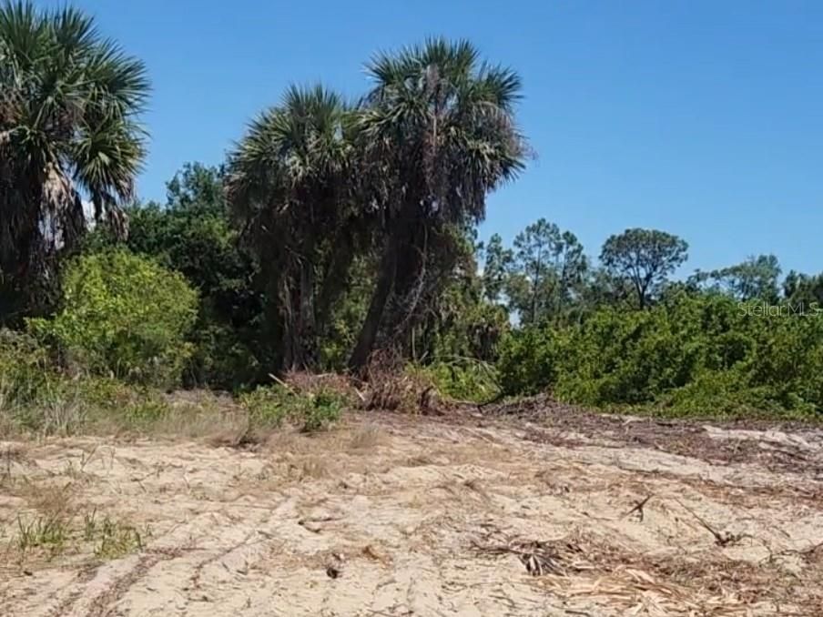 待售: $46,500 (0.23 acres)