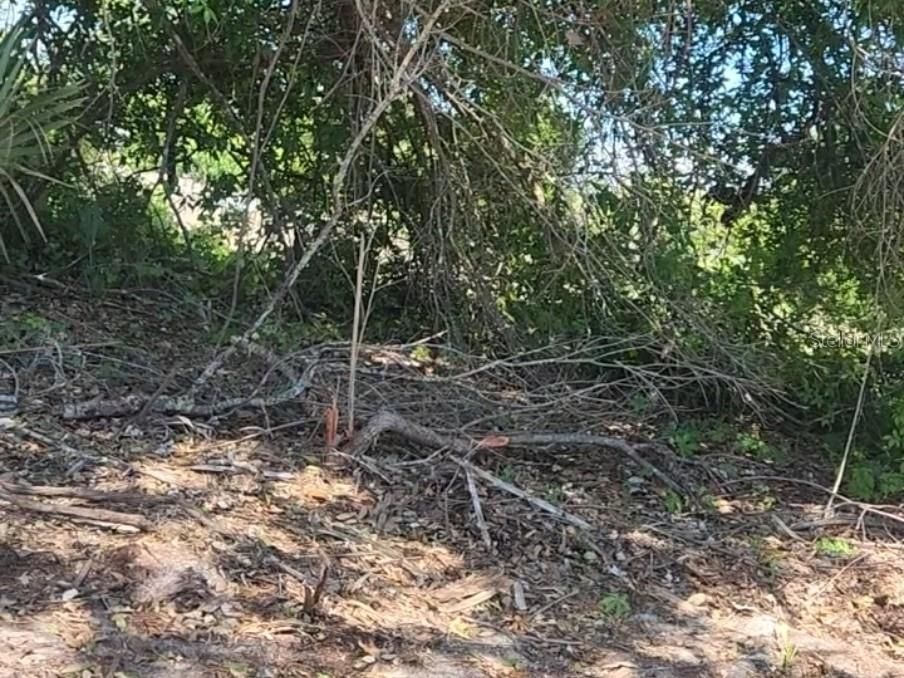 待售: $46,500 (0.23 acres)