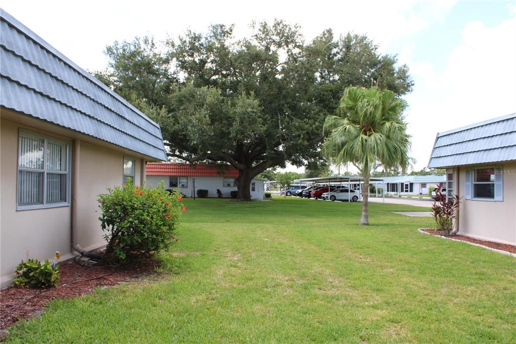 For Sale: $75,000 (1 beds, 1 baths, 800 Square Feet)