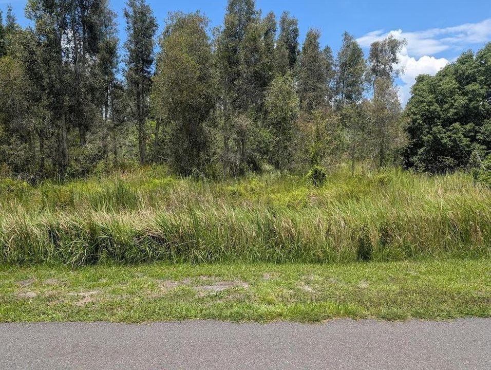 На продажу: $150,000 (1.00 acres)