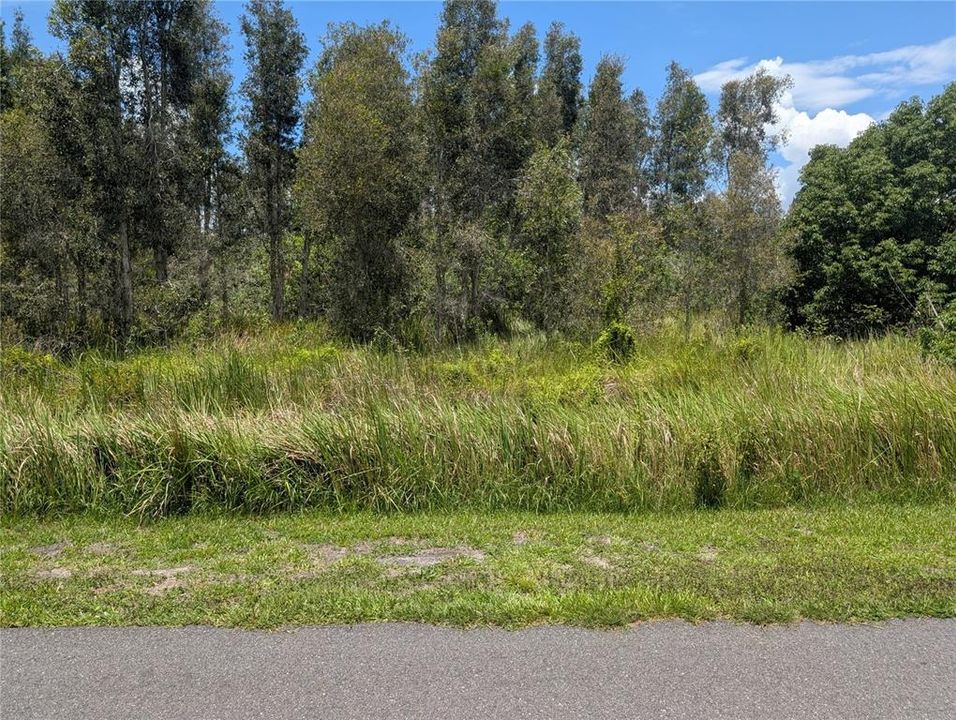 На продажу: $150,000 (1.00 acres)