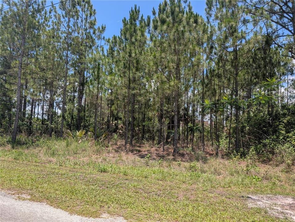 Active With Contract: $70,000 (0.50 acres)