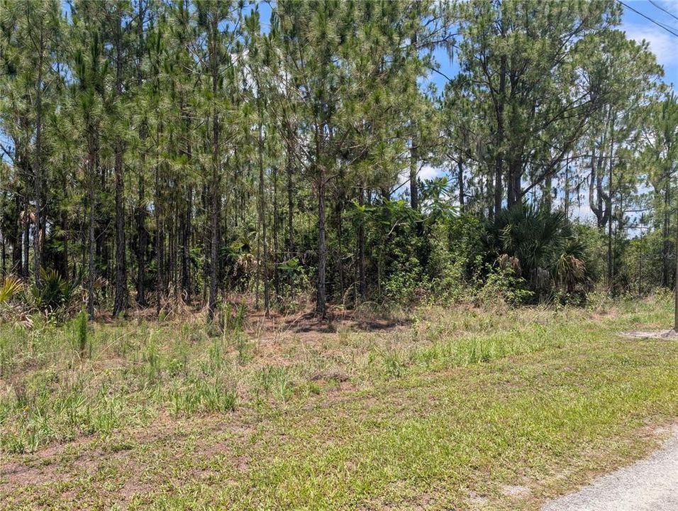 Active With Contract: $70,000 (0.50 acres)