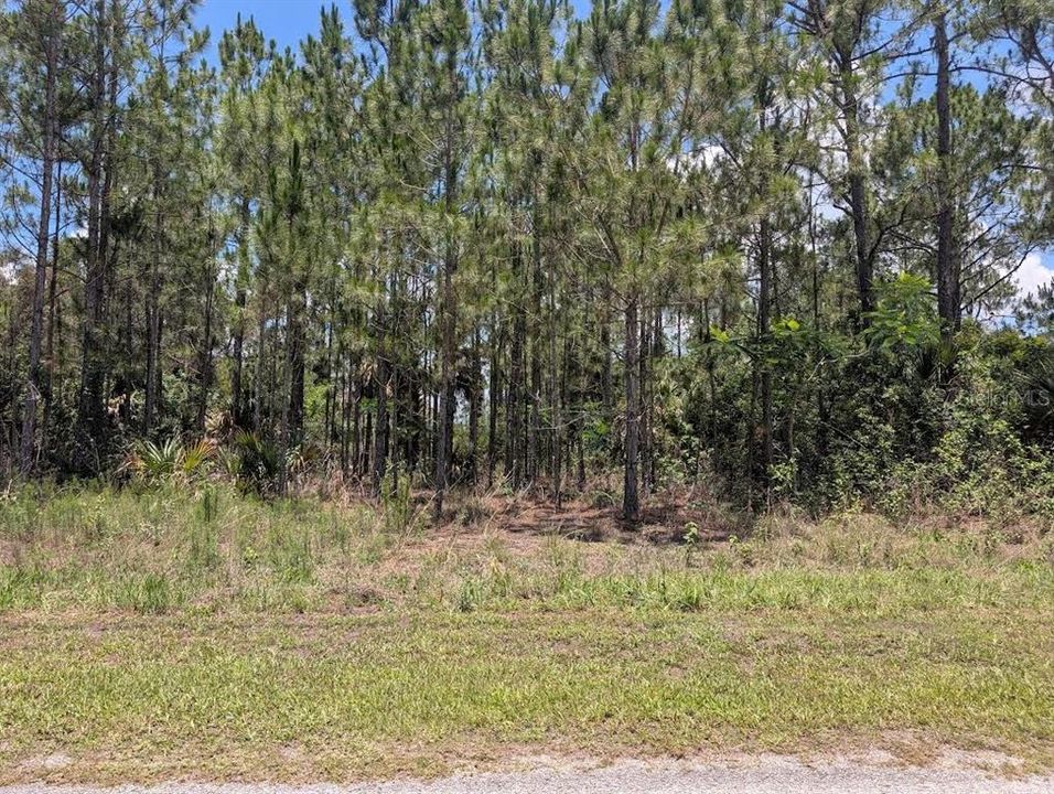 Active With Contract: $70,000 (0.50 acres)