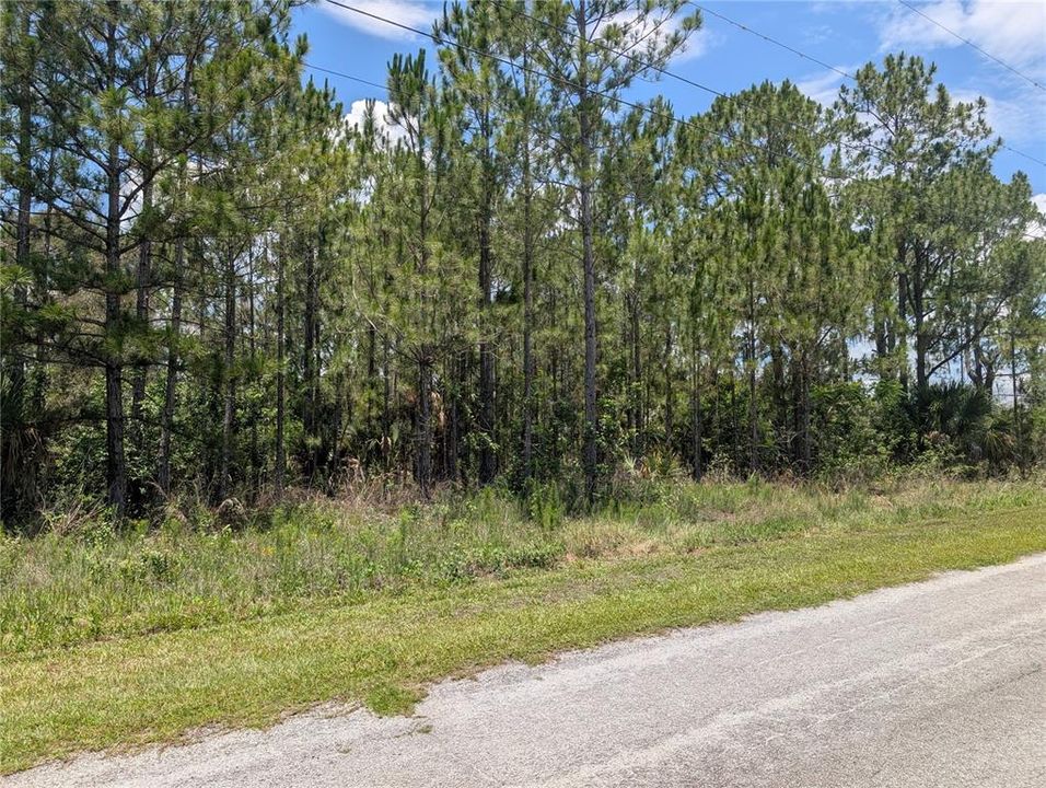 Active With Contract: $70,000 (0.50 acres)