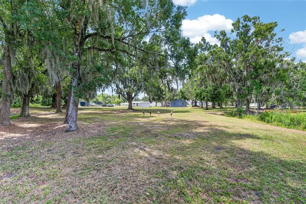 For Sale: $480,000 (3 beds, 2 baths, 1450 Square Feet)