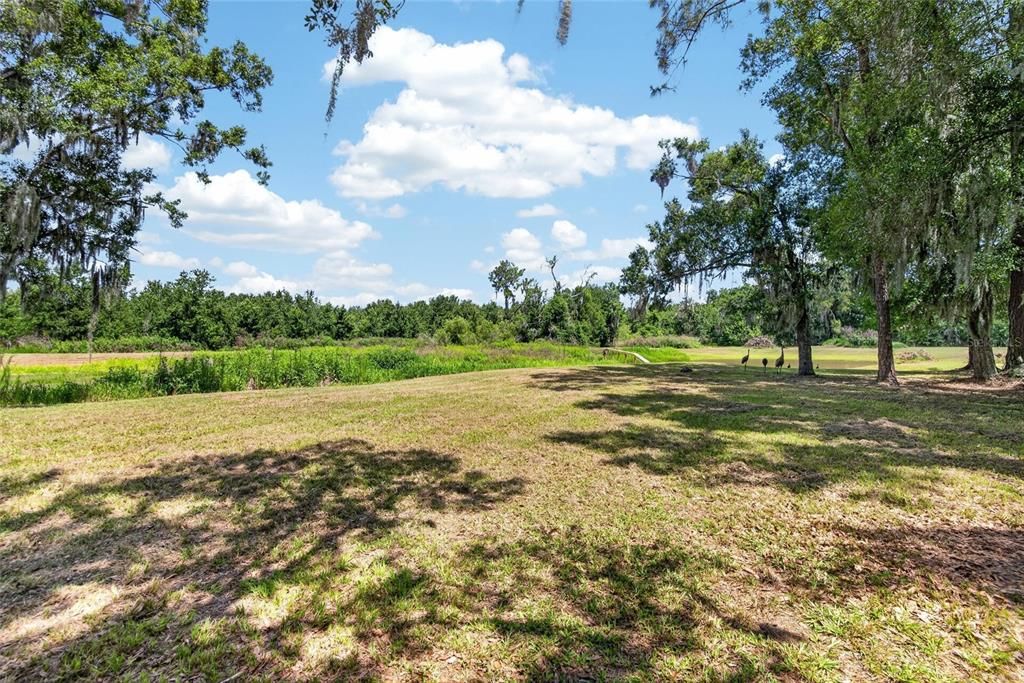 For Sale: $480,000 (3 beds, 2 baths, 1450 Square Feet)