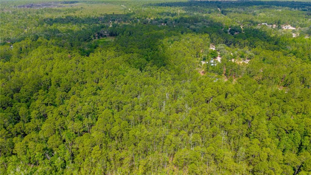 En Venta: $349,900 (25.00 acres)