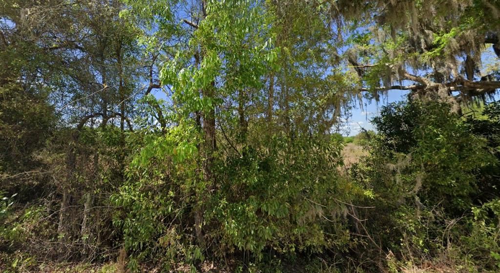 For Sale: $19,999 (1.02 acres)
