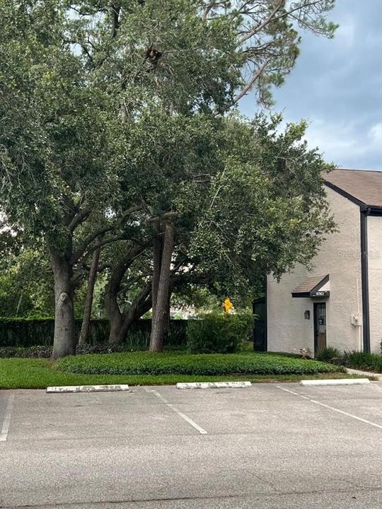 For Sale: $255,000 (2 beds, 2 baths, 1120 Square Feet)