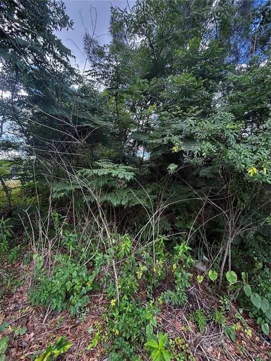 For Sale: $48,000 (0.63 acres)