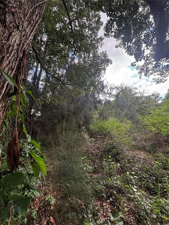 For Sale: $48,000 (0.63 acres)