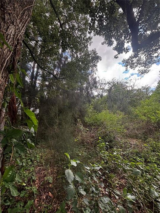 For Sale: $48,000 (0.63 acres)