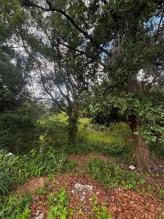 For Sale: $48,000 (0.63 acres)