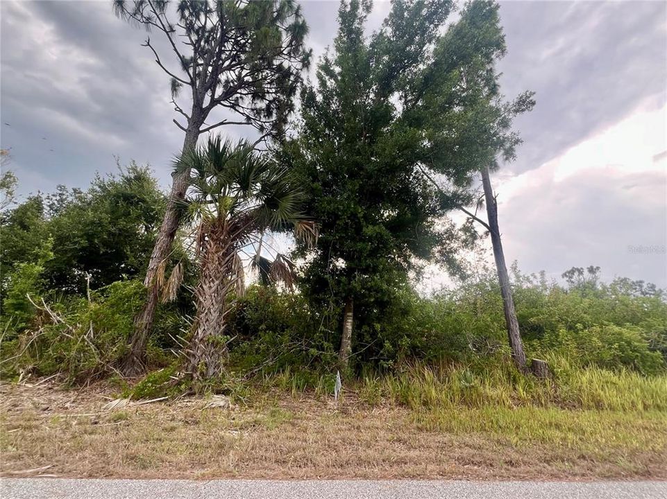 待售: $61,000 (0.23 acres)