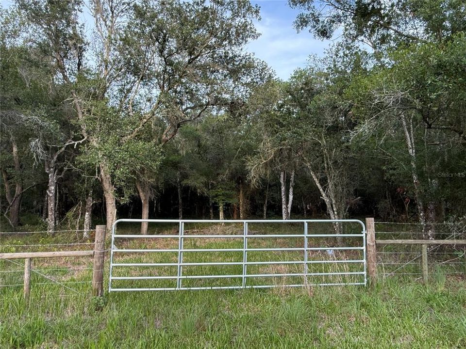 На продажу: $299,000 (4.69 acres)