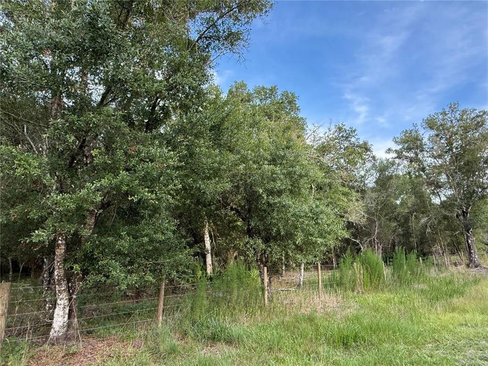 На продажу: $299,000 (4.69 acres)