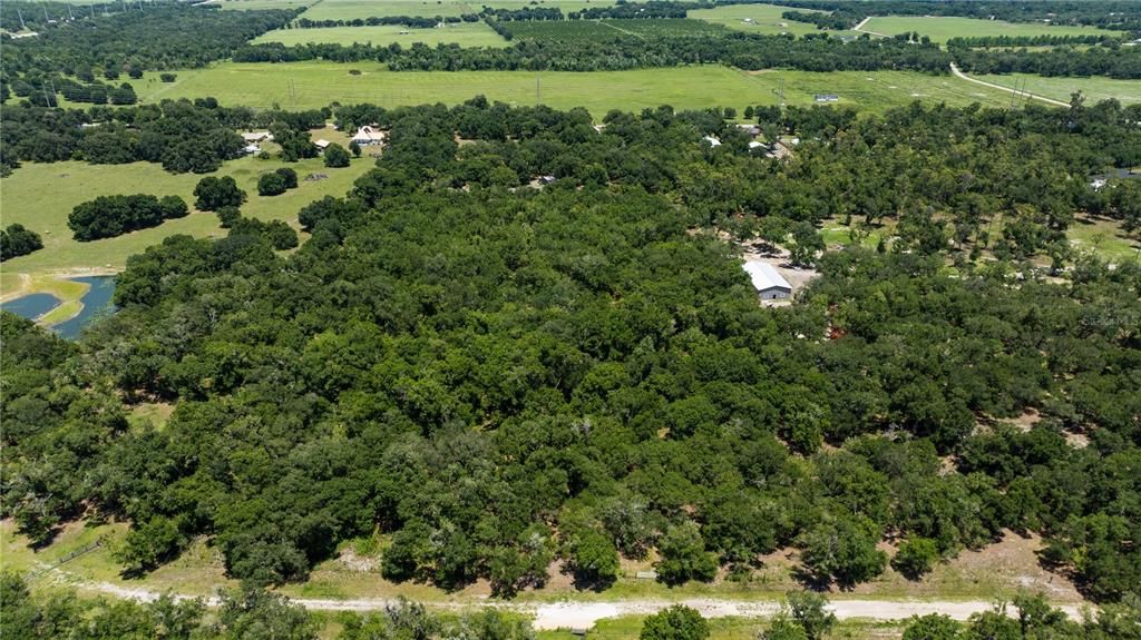 На продажу: $299,000 (4.69 acres)