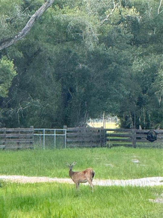 На продажу: $299,000 (4.69 acres)