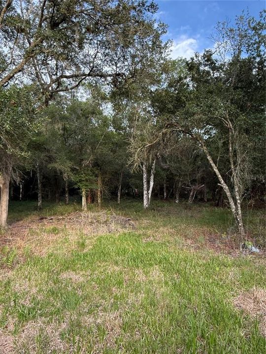 На продажу: $299,000 (4.69 acres)